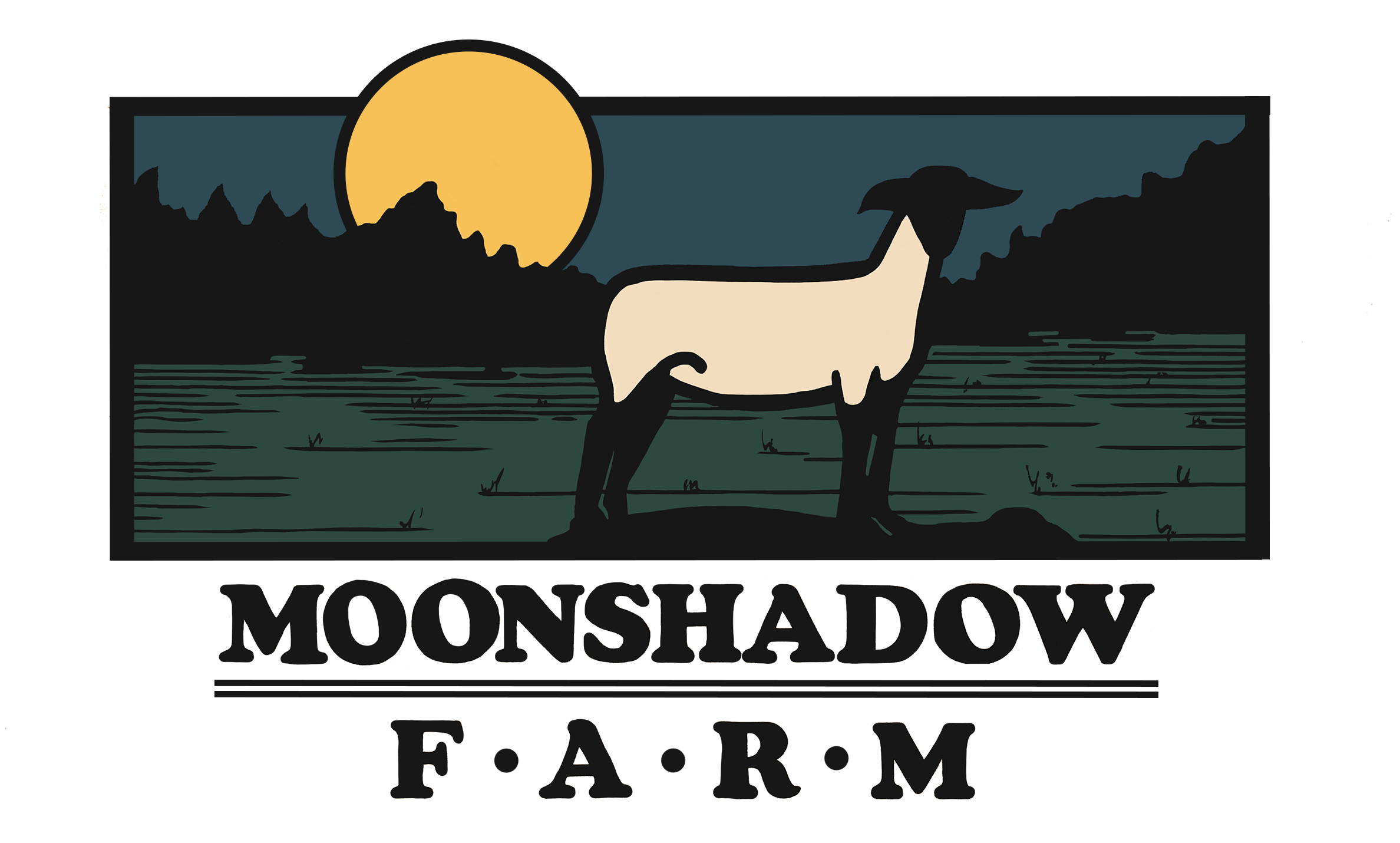 Moonshadow Farm Sheep